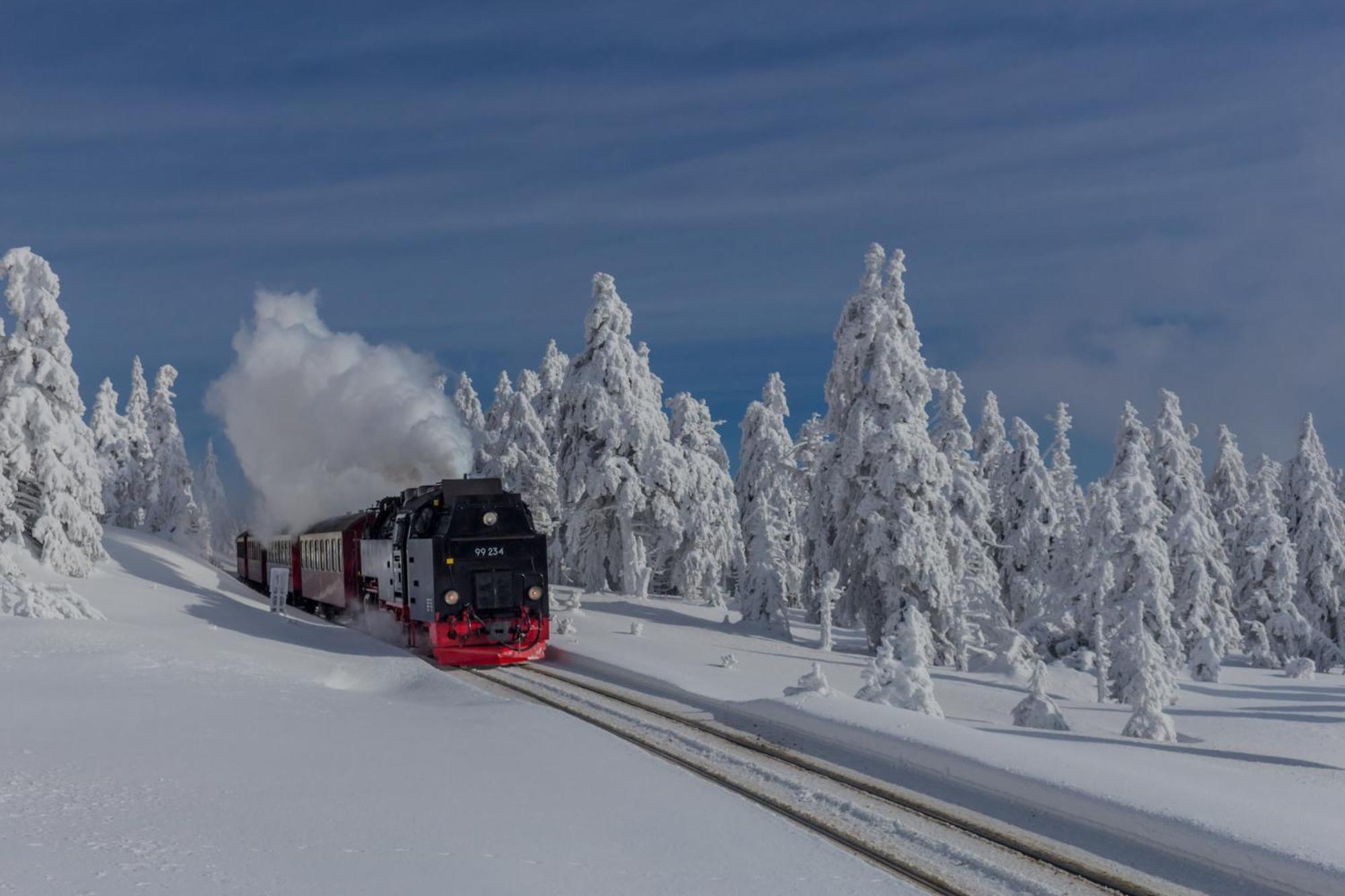 Traumfewo Palais #Innenstadt #Garten #Netflix Von Harztraveler Wernigerode Bagian luar foto