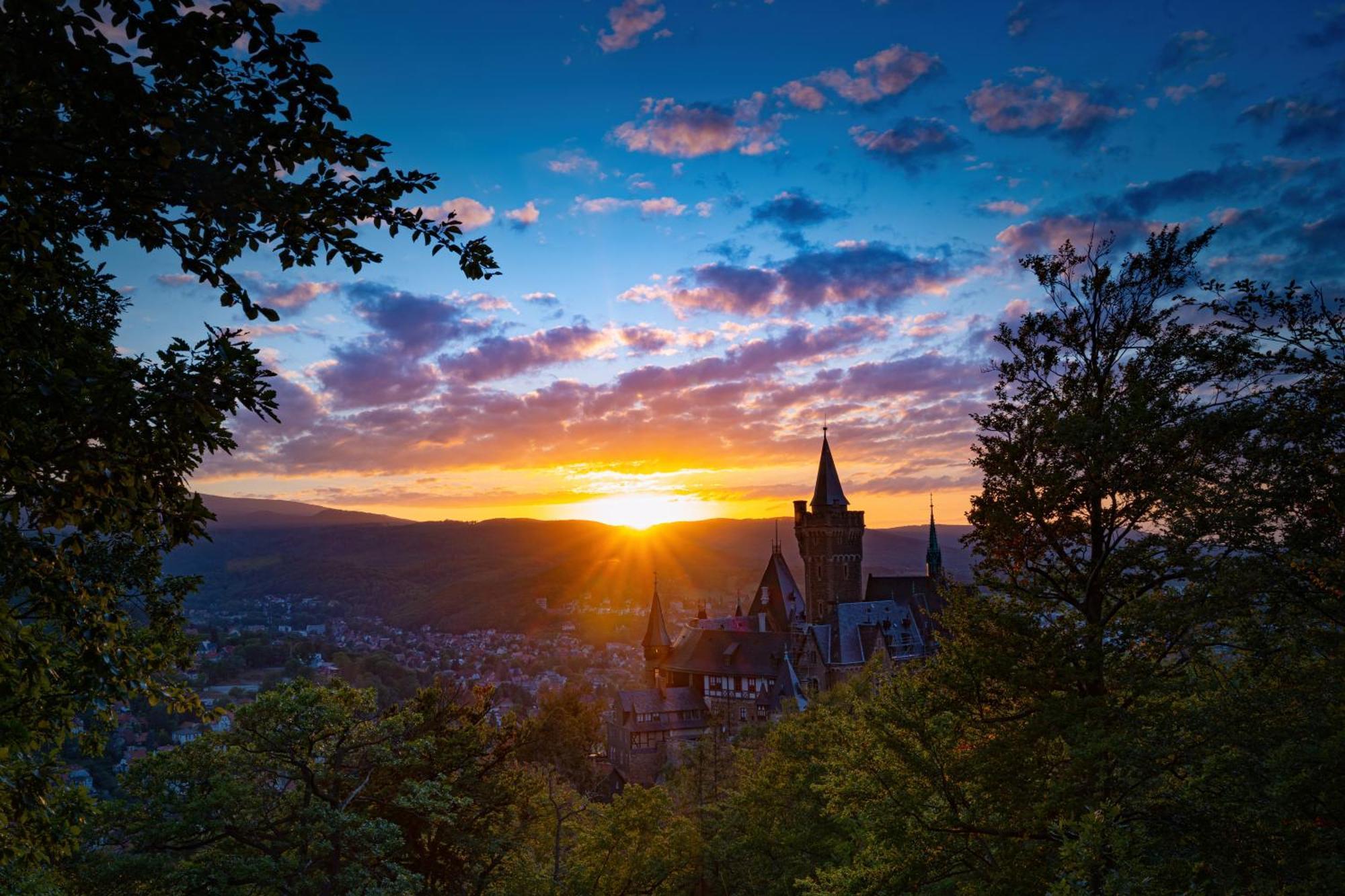 Traumfewo Palais #Innenstadt #Garten #Netflix Von Harztraveler Wernigerode Bagian luar foto